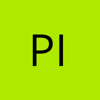 Pilgrim