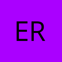 Ergin