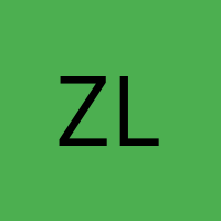 zlCr1tical