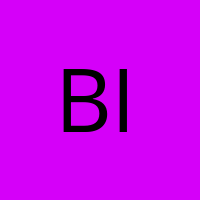 bissljustin' Avatar