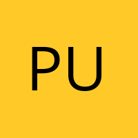 Punctus
