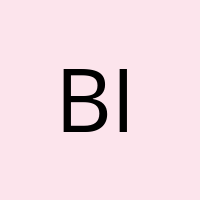 bigvision