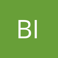 biedermann54