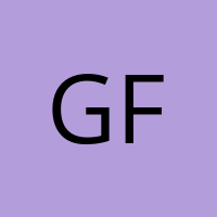 Gaming fan