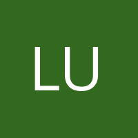 Luigi_3' Avatar
