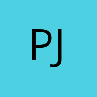 PJ' Avatar