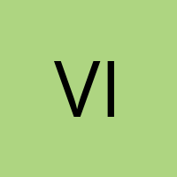 vinci_bruh