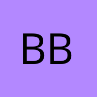 B. DAS BROT' Avatar