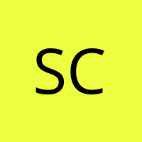 Schlork