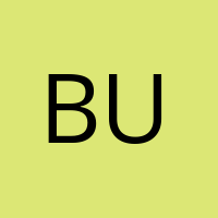 Bummi