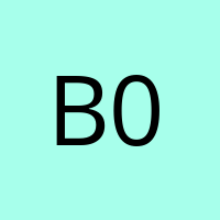 b0dk1n