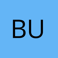 BUWI