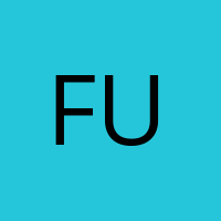 Fuzzy_453