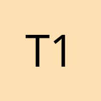 T1