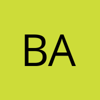 baufiSchlau