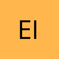 Eisvogel
