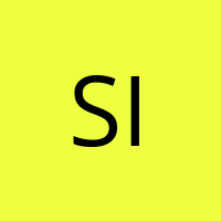Silver333