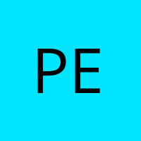 Petra' Avatar