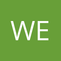 Westinghouse' Avatar