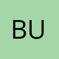 bubbleking