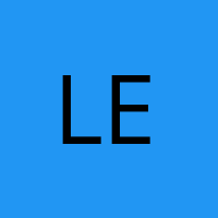 leonstgs