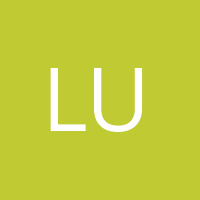 Luroko' Avatar