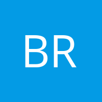 bRauNbuGz13' Avatar