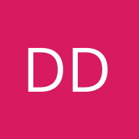 ddenna351' Avatar