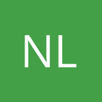 N.Lorenz' Avatar