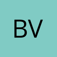 Bvbtastisch' Avatar