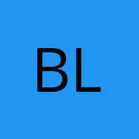Bleaxer' Avatar