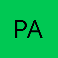 Paradox' Avatar
