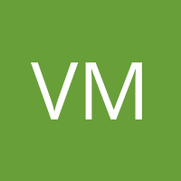 vMangoMK' Avatar