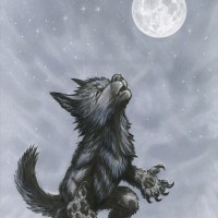 Hawk' Avatar