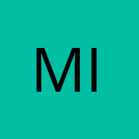 Michl 345' Avatar