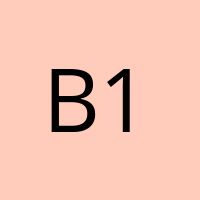 B12Konsument