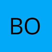 boli_29o1