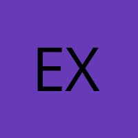 Exgiio