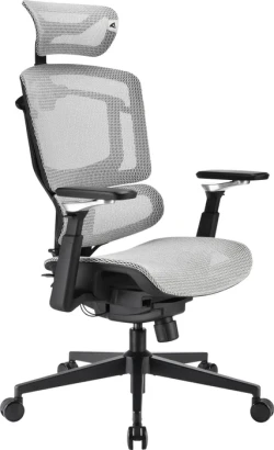 Sharkoon OfficePal C50M (Lendenstütze, Wippmechanik) für 168,99€!!