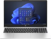 HP 250 G10, Turbo Silver, Core i5-1334U, 16GB RAM, 512GB SSD, DE (8X9V3ES#ABD)