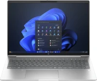 HP ProBook 460 G11, Pike Silver, 32GB RAM, 1TB SSD, DE (B2MK4ES#ABD)