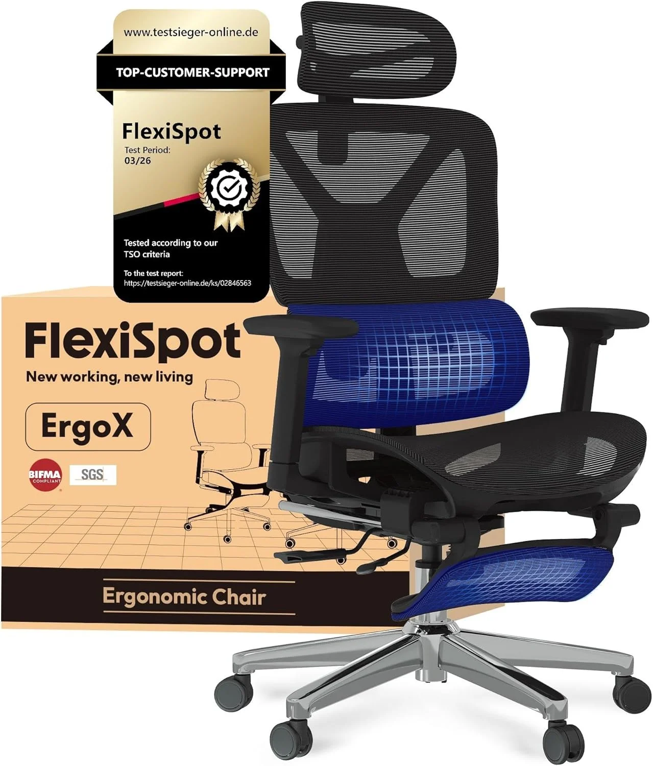 FlexiSpot ErgoX Wave (schwarz, Synchronmechanik, Ergonomischer Bürostuhl, Meshbezug, justierbare Lendenwirbelstütze)