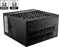 1TB WD Blue SN570 (NVMe SSD)