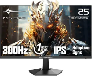Minifire Gaming Monitor (300Hz, Full HD, 25", IPS, FreeSync, 100% sRGB)