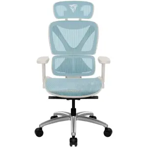 ThunderX3 XTC (weiß/blau, Ergonomischer Bürostuhl, Meshbezug, justierbare Lendenwirbelstütze) für 129,90€!!