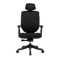 FlexiSpot BS12 Pro